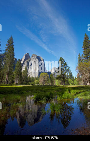 Cathedral Rocks spiegelt sich in einem Teich im Yosemite Valley, Yosemite-Nationalpark, Kalifornien, USA Stockfoto