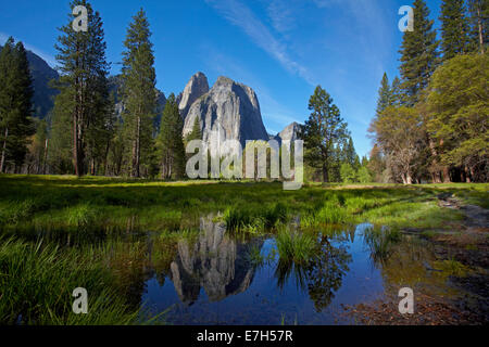 Cathedral Rocks spiegelt sich in einem Teich im Yosemite Valley, Yosemite-Nationalpark, Kalifornien, USA Stockfoto