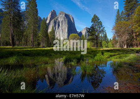 Cathedral Rocks spiegelt sich in einem Teich im Yosemite Valley, Yosemite-Nationalpark, Kalifornien, USA Stockfoto