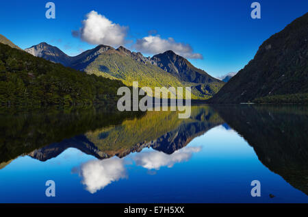 Lake Gunn, Fiordland, Neuseeland Stockfoto