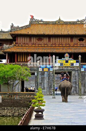 Ein Elefant herumträgt Touristen Kaiserstadt Hue (die Zitadelle), Vietnam Stockfoto