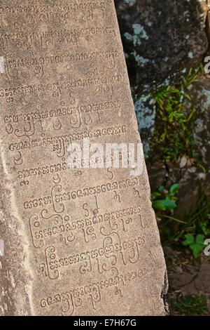 Stein-Inschrift am Mỹ Son UNESCO World Heritage Site, Vietnam Stockfoto
