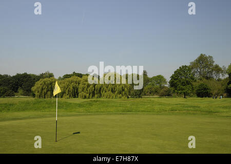 Blick auf 15. Grün mit 14. Loch J H Taylor natürlich im Hintergrund, Royal Mid Surrey Golf Club Richmond auf Pam Barton Stockfoto