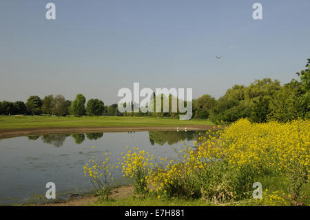 Blick vom 9. Abschlag über Feuchtgebiete Bereich auf J H Taylor Kurs Royal Mid Surrey Richmond Surrey England Stockfoto