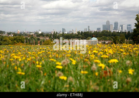 Fernblick auf Canary Wharf Skyline von Blythe Hill Felder, Honor Oak Park, London, UK Stockfoto