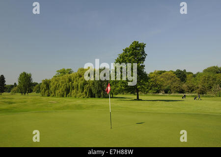 Blick auf das 14. Grün und Flagge auf J H Taylor Kurs Royal Mid Surrey Golf Club Richmond Surrey England Stockfoto