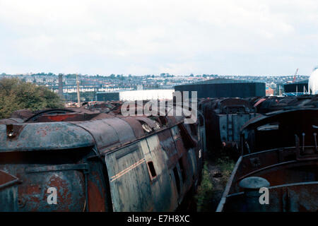 Linien der verschrottet ex-Britische Schiene Dampfmaschinen bei Woodham Brüder Schrottplatz Barry Insel wales Grossbritannien 1975 Stockfoto