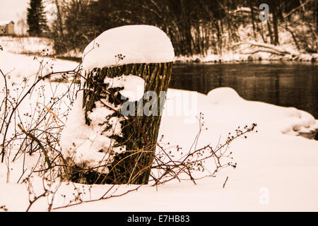 Winter Stockfoto