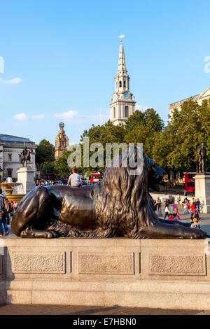 Löwen-Statuen, Trafalgar Square, London, England Stockfoto