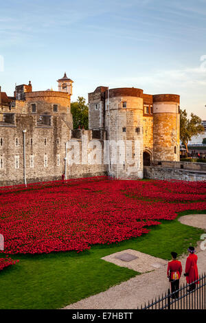 Ein Soldat und Beefeater Aussehen bei The Poppy Display The Tower of London, London, England Stockfoto