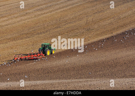 Große moderne vier-Rad-Antrieb Traktor Pflügen mit Disk Harrow im Stoppelfeld Stockfoto