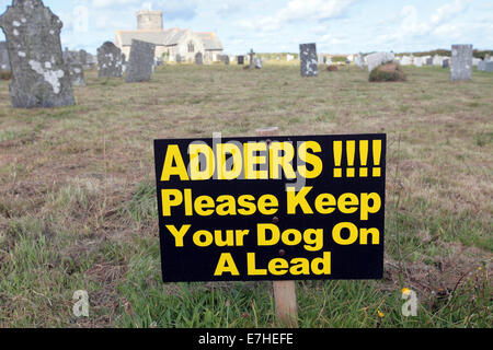 Warnschild, "Nattern!!! Bitte halten Sie Hunde an der Leine ", Tintagel, Cornwall, UK Stockfoto