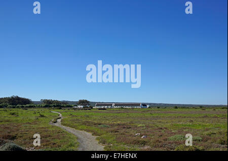 Geelbek Restaurant, West Coast National Park, Western Cape, Südafrika. Stockfoto