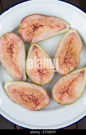 Ficus Carica. Homegrown Schnitt Feigen auf ein Emaille-Schild Stockfoto