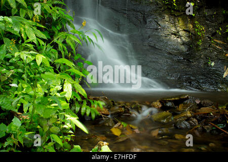 Stock Bild - genial fällt Stockfoto