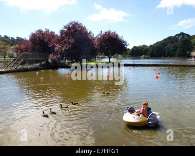 Kleiner Junge spielt in einem Paddelboot am See zum Bootfahren Helston, Cornwall, UK Stockfoto