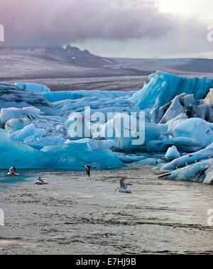 Die Sonne geht über Eisberge in der berühmten Gletscherlagune am Jökulsárlón auf der isländischen Küste schweben. Stockfoto