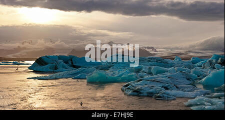 Die Sonne geht über Eisberge in der berühmten Gletscherlagune am Jökulsárlón auf der isländischen Küste schweben. Stockfoto