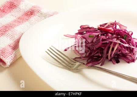 Nahaufnahme Bild von einem Salat aus Rotkohl mit Radieschen und Zwiebeln Stockfoto