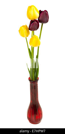 Bunte Tulpen in Vase isoliert auf weißem Hintergrund Stockfoto