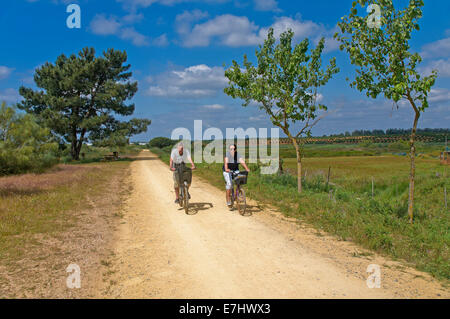 Grüne Küste Weg, La Redondela, Huelva Provinz, Region von Andalusien, Spanien, Europa Stockfoto