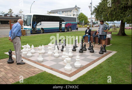 Straße Schach-Spiel und Spieler in Taupo Nordinsel Neuseeland Stockfoto