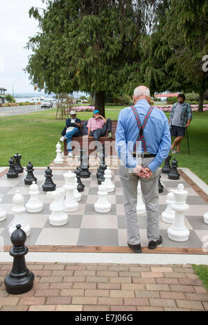 Straße Schach-Spiel und Spieler in Taupo Nordinsel Neuseeland Stockfoto