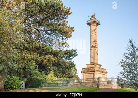 Die Mieterschaft Spalte, ein Denkmal gekrönt von Percy Löwen, Symbol der Adelsfamilie Percy in Alnwick in Northumberland, England UK Stockfoto