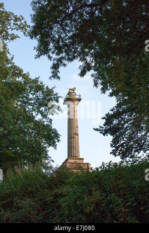 Die Mieterschaft Spalte, ein Denkmal gekrönt von Percy Löwen, Symbol der Adelsfamilie Percy in Alnwick in Northumberland, England UK Stockfoto