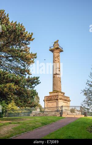 Die Mieterschaft Spalte, ein Denkmal gekrönt von Percy Löwen, Symbol der Adelsfamilie Percy in Alnwick in Northumberland, England UK Stockfoto