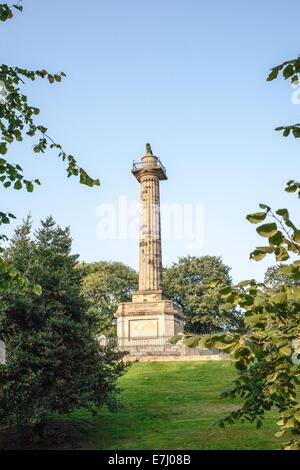 Die Mieterschaft Spalte, ein Denkmal gekrönt von Percy Löwen, Symbol der Adelsfamilie Percy in Alnwick in Northumberland, England UK Stockfoto