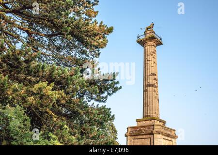 Die Mieterschaft Spalte, ein Denkmal gekrönt von Percy Löwen, Symbol der Adelsfamilie Percy in Alnwick in Northumberland, England UK Stockfoto