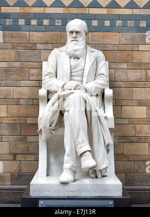 Charles Darwin-Statue in The Natural History Museum, London. Stockfoto