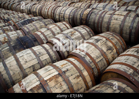 Jim Beam Whisky Fässern in Glengoyne Destillerie Stockfoto