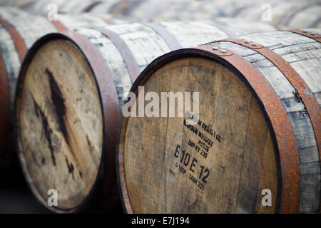 Jim Beam Whisky Fässern in Glengoyne Destillerie Stockfoto