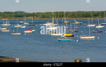 Segelboote vor Anker im Hafen, Castine, Maine, USA Stockfoto