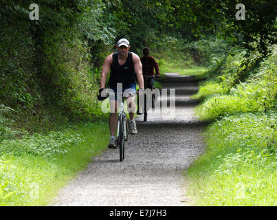 Radfahrer auf der Camel Trail in der Nähe von Bodmin, Cornwall, UK Stockfoto