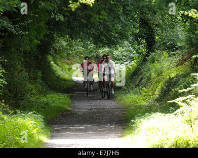 Radfahrer auf der Camel Trail in der Nähe von Bodmin, Cornwall, UK Stockfoto