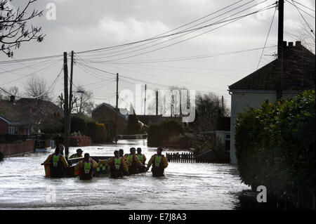 Überschwemmungen an der Somerset Ebene - ein Bewohner von Moorland wird nach Hause begleitet um Besitz von steigenden Hochwasser zu retten Stockfoto