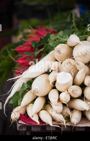Weiße Radieschen Haufen in einem Markt. Vertikale erschossen Stockfoto