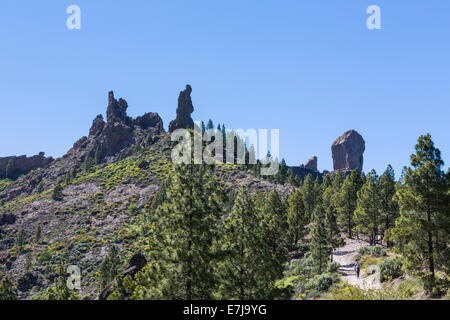 Wanderweg zum Roque Nublo, Gipfel, Gran Canaria, Kanarische Inseln, Spanien Stockfoto