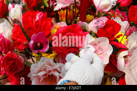 Peking, China. 19. Sep, 2014. Ein Arbeiter ordnet die Blumendekorationen um die bevorstehende Nationalfeiertag am 1. Oktober auf dem Tiananmen Square in Peking, Hauptstadt von China, 19. September 2014 zu begrüßen. Bildnachweis: Yin Gang/Xinhua/Alamy Live-Nachrichten Stockfoto