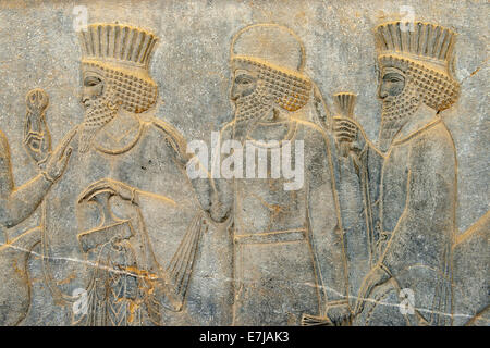 Basrelief des persischen und Median Soldaten auf der Apadana Palast, Achaemenid archäologische Stätte von Persepolis Stockfoto