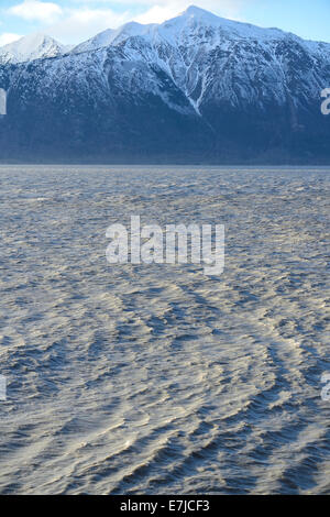 USA, USA, Amerika, Far North, Alaska, Turnigan Arm, Kenai, Cook Inlet, Berge, Landschaft, Wasser Stockfoto