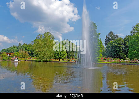 Europa, Deutschland, Rheinland Pfalz, Zweibrücken, Rosengartenstrasse, rose, Garten, Brunnen, Bäume, Gärten, Landschaft, Landschaften Stockfoto