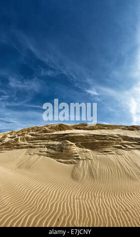 Holland, Europa, Koog Aan de Zaan, Castricum, Noord-Holland, Niederlande, Landschaft, Frühling, Strand, Dünen Stockfoto