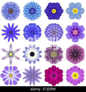 Große Sammlung von verschiedenen blauen konzentrischen Muster Blumen. Kaleidoskopische Mandala-Muster, Isolated on White Background. Waschmittelkonzentrat Stockfoto