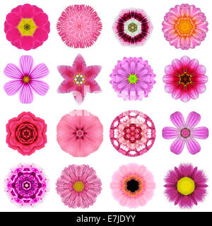 Große Sammlung von verschiedenen lila konzentrische Muster Blumen. Kaleidoskopische Mandala-Muster, Isolated on White Background. Konzen Stockfoto