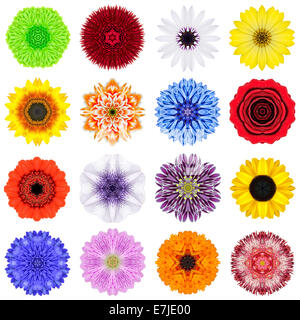 Große Sammlung von verschiedenen konzentrischen Muster Blumen. Kaleidoskopische Mandala-Muster, Isolated on White Background. Konzentrische Ro Stockfoto