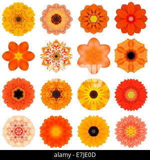 Große Sammlung von verschiedenen Orange konzentrische Muster Blumen. Kaleidoskopische Mandala-Muster, Isolated on White Background. Konzen Stockfoto